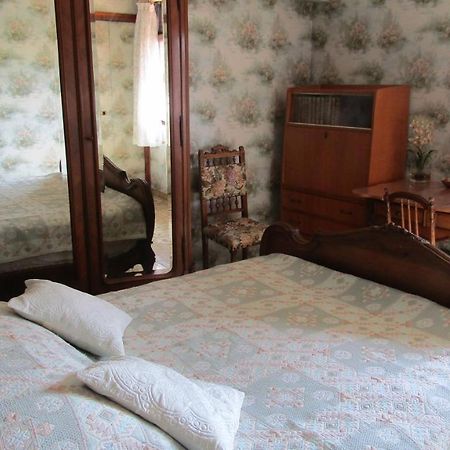 Chambre Salle De Bains Privee Jardin Arbore Montpellier Exteriér fotografie